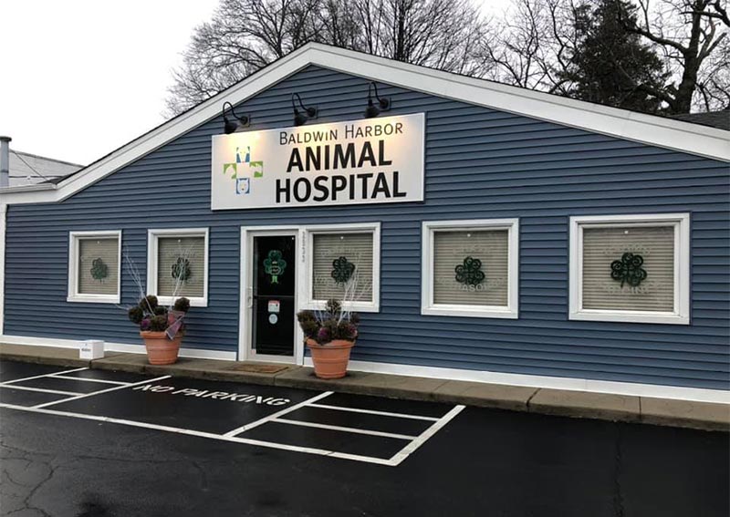 Carousel Slide 3: Baldwin Harbor Animal Hospital