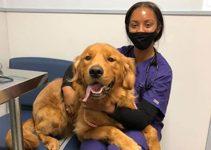 Dog Veterinary Care, Baldwin
